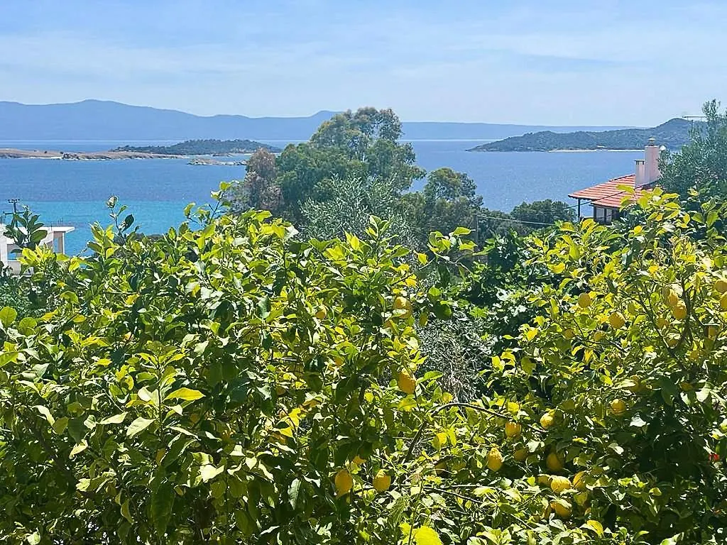 Viva Properties Ouranoupoli Inn
